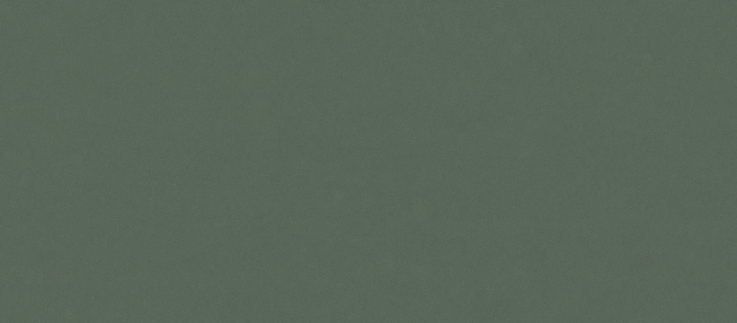 2207 Rain forest green